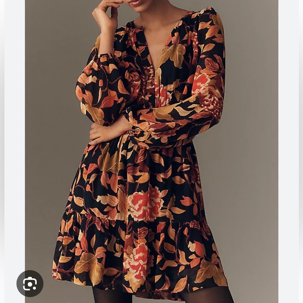 NWT Anthropologie somerset mini dress long sleeve